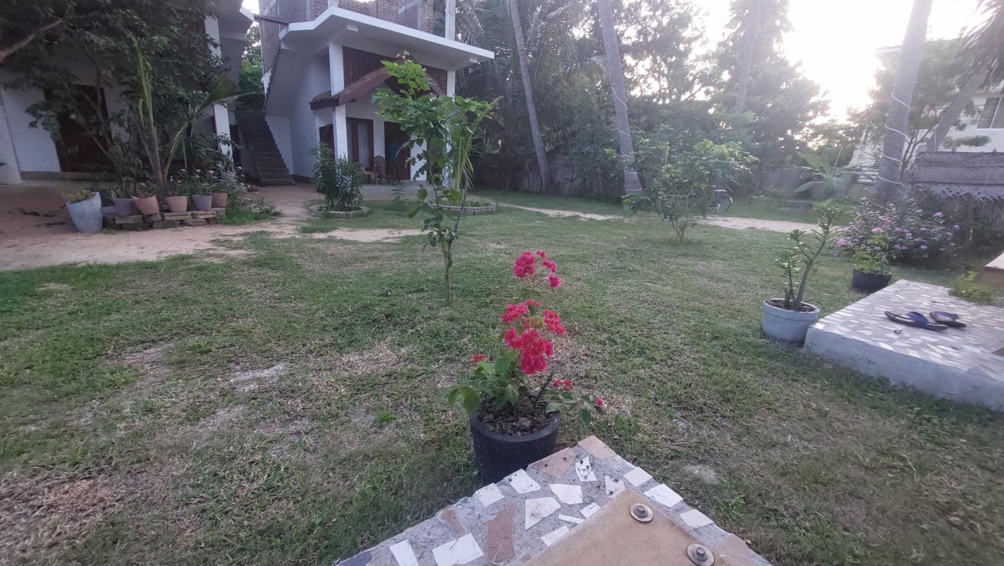 The Dream Inn Guesthouse Passikudah Batticaloa Kültér fotó