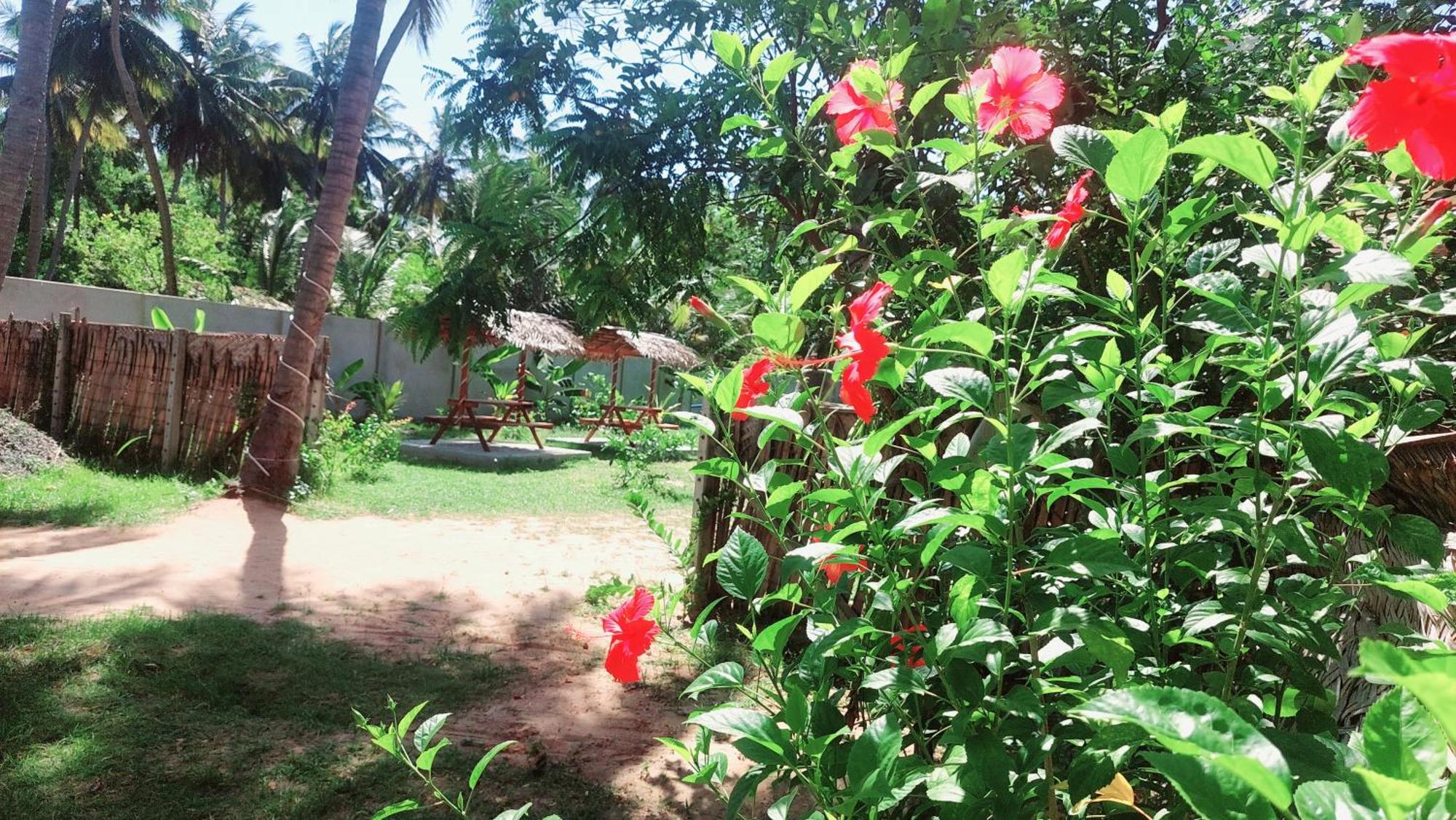 The Dream Inn Guesthouse Passikudah Batticaloa Kültér fotó